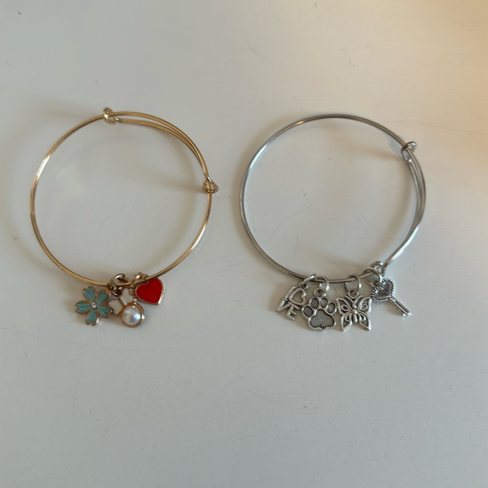 2 Charm bracelets. Comes together. Gold and silver.